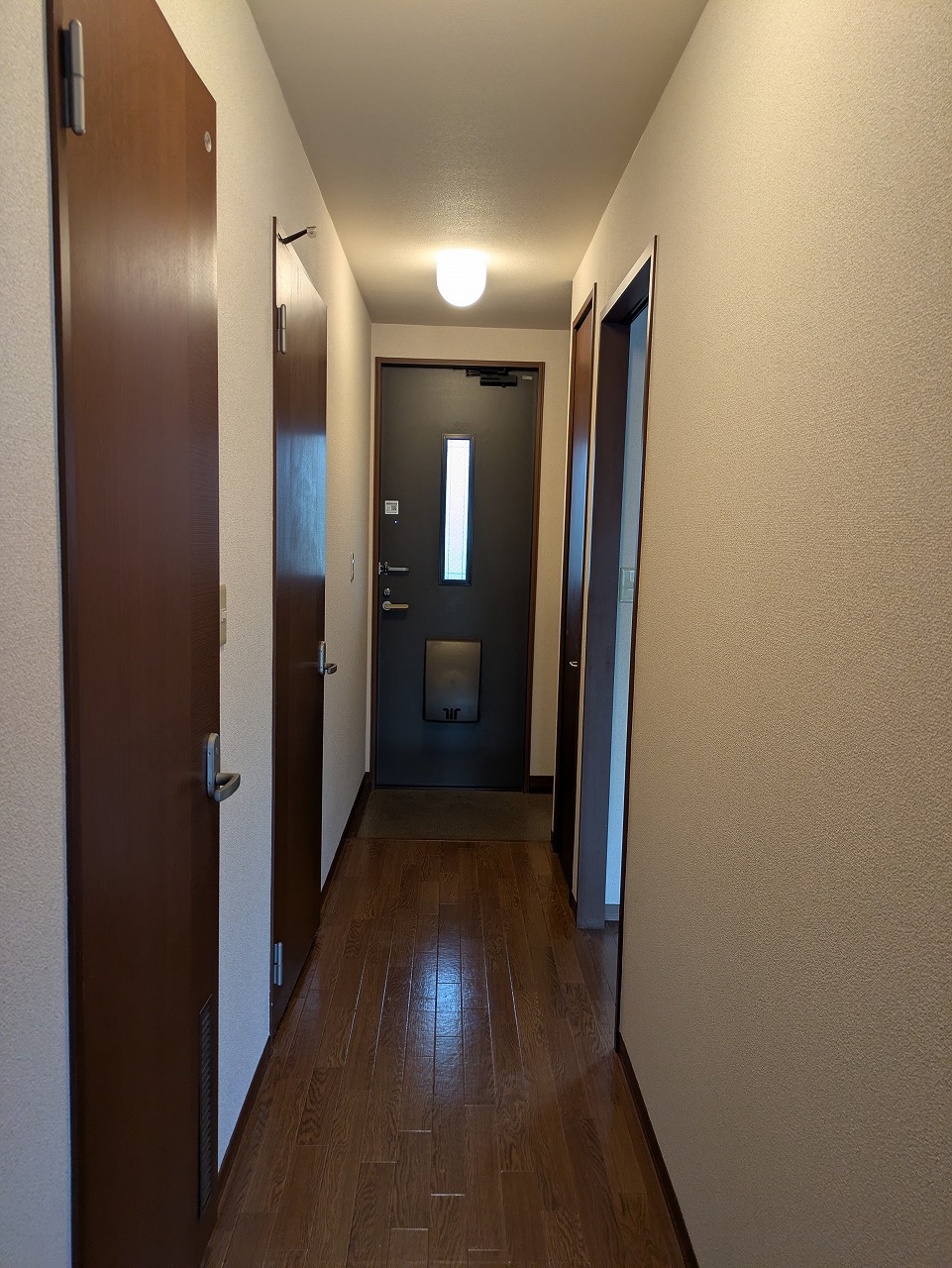 �ʐ^111
