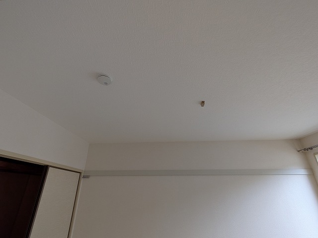 �ʐ^107