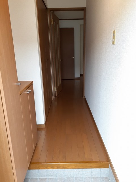 �ʐ^11