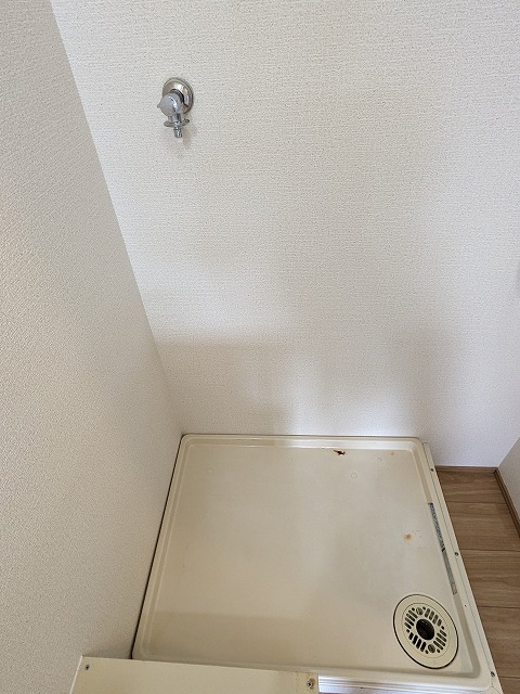 �ʐ^113